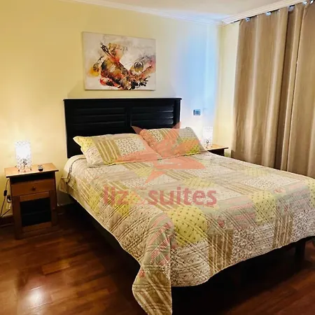 Depto Turistico Y Ejecutivo A Pasos De Metro, Providencia Apartment